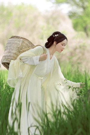 午夜精品久久久久久仙踪林