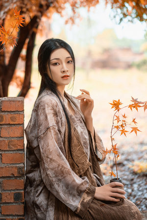 丰满少妇被猛烈进入高清播放久久