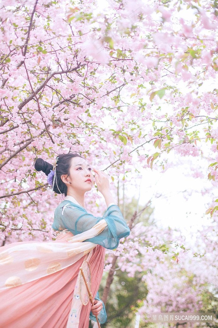 a站必看的3000视频精选