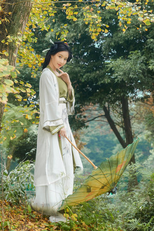 高柳家全文免费阅读